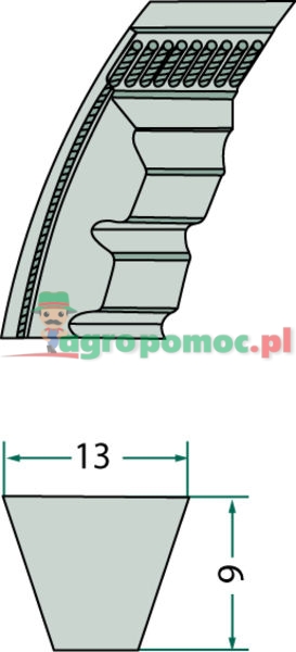 Pas klinowy | zdjęcie nr 1